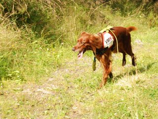 2009-08-22_ntb_6308
