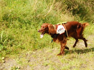 2009-08-22_ntb_6309
