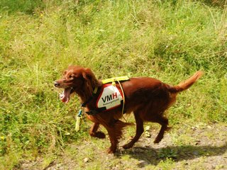 2009-08-22_ntb_6310