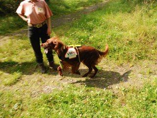 2009-08-22_ntb_6311