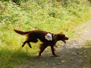 2009-08-22_ntb_6312