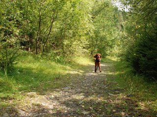 2009-08-22_ntb_6313