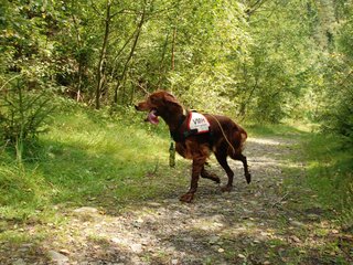 2009-08-22_ntb_6314