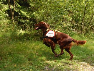 2009-08-22_ntb_6315