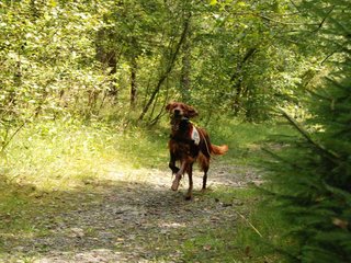 2009-08-22_ntb_6317
