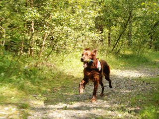2009-08-22_ntb_6318