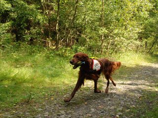 2009-08-22_ntb_6319