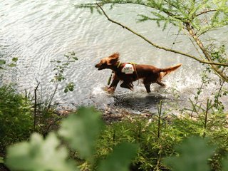 2009-08-22_ntb_6322