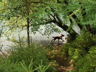 2009-08-22_ntb_6325