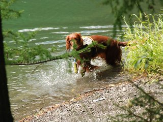 2009-08-22_ntb_6326