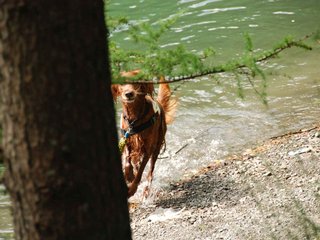 2009-08-22_ntb_6327