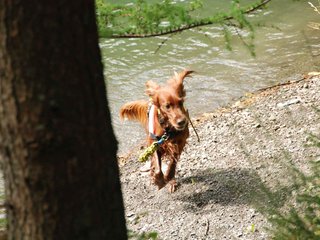 2009-08-22_ntb_6328