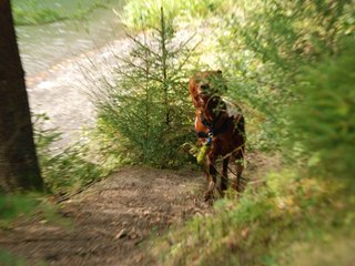 2009-08-22_ntb_6330