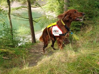 2009-08-22_ntb_6334