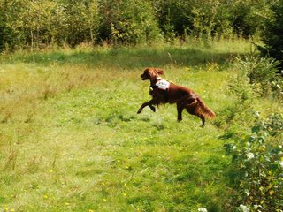 2009-08-22_ntb_6336