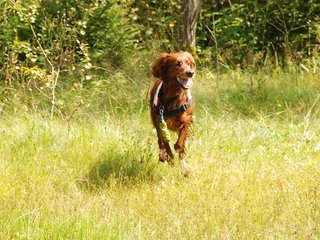 2009-08-22_ntb_6337