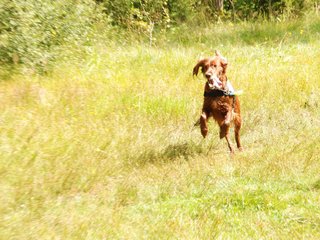 2009-08-22_ntb_6339