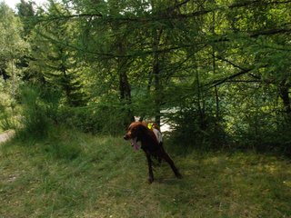 2009-08-22_ntb_6343