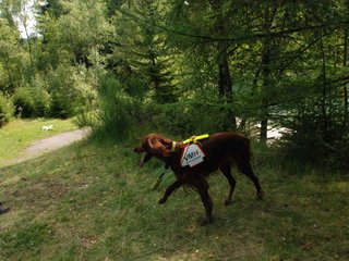 2009-08-22_ntb_6344