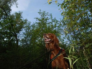 2009-08-22_ntb_6348