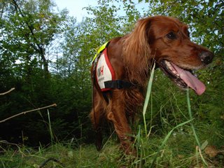 2009-08-22_ntb_6351
