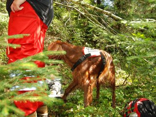 2009-08-22_ntb_6352