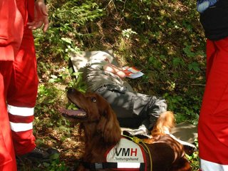 2009-08-22_ntb_6353