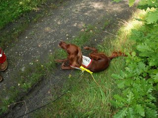 2009-08-22_ntb_6360