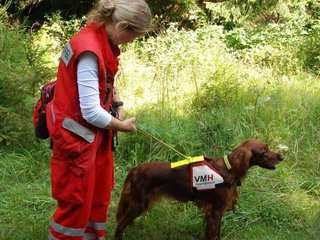 2009-08-22_ntb_6363