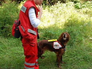 2009-08-22_ntb_6365