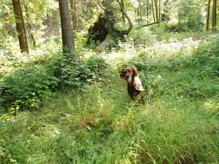 2009-08-22_ntb_6374