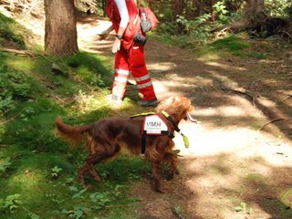 2009-08-22_ntb_6378