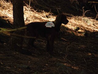 2009-08-22_ntb_6379