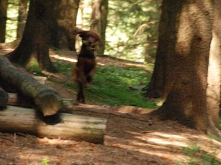 2009-08-22_ntb_6382