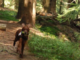2009-08-22_ntb_6386