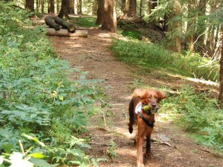 2009-08-22_ntb_6389