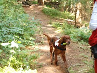 2009-08-22_ntb_6390