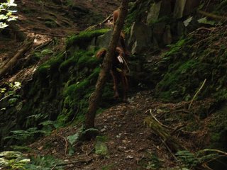 2009-08-22_ntb_6409