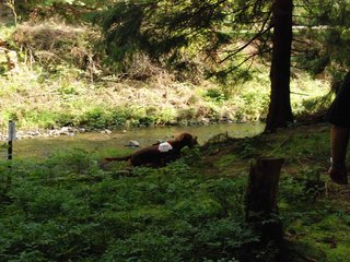 2009-08-22_ntb_6412