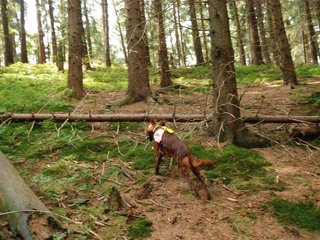 2009-08-22_ntb_6421
