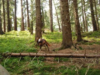 2009-08-22_ntb_6422