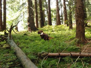 2009-08-22_ntb_6423