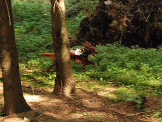 2009-08-22_ntb_6433