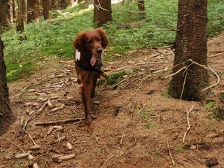 2009-08-22_ntb_6440