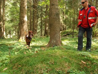 2009-08-22_ntb_6442