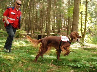 2009-08-22_ntb_6445