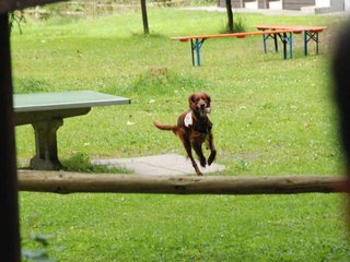 2009-08-22_ntb_6449