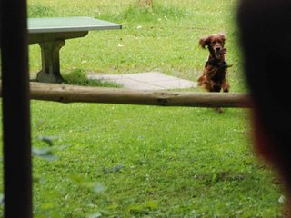 2009-08-22_ntb_6450