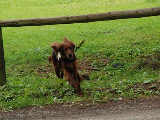 2009-08-22_ntb_6453