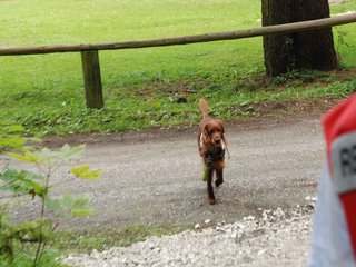 2009-08-22_ntb_6455